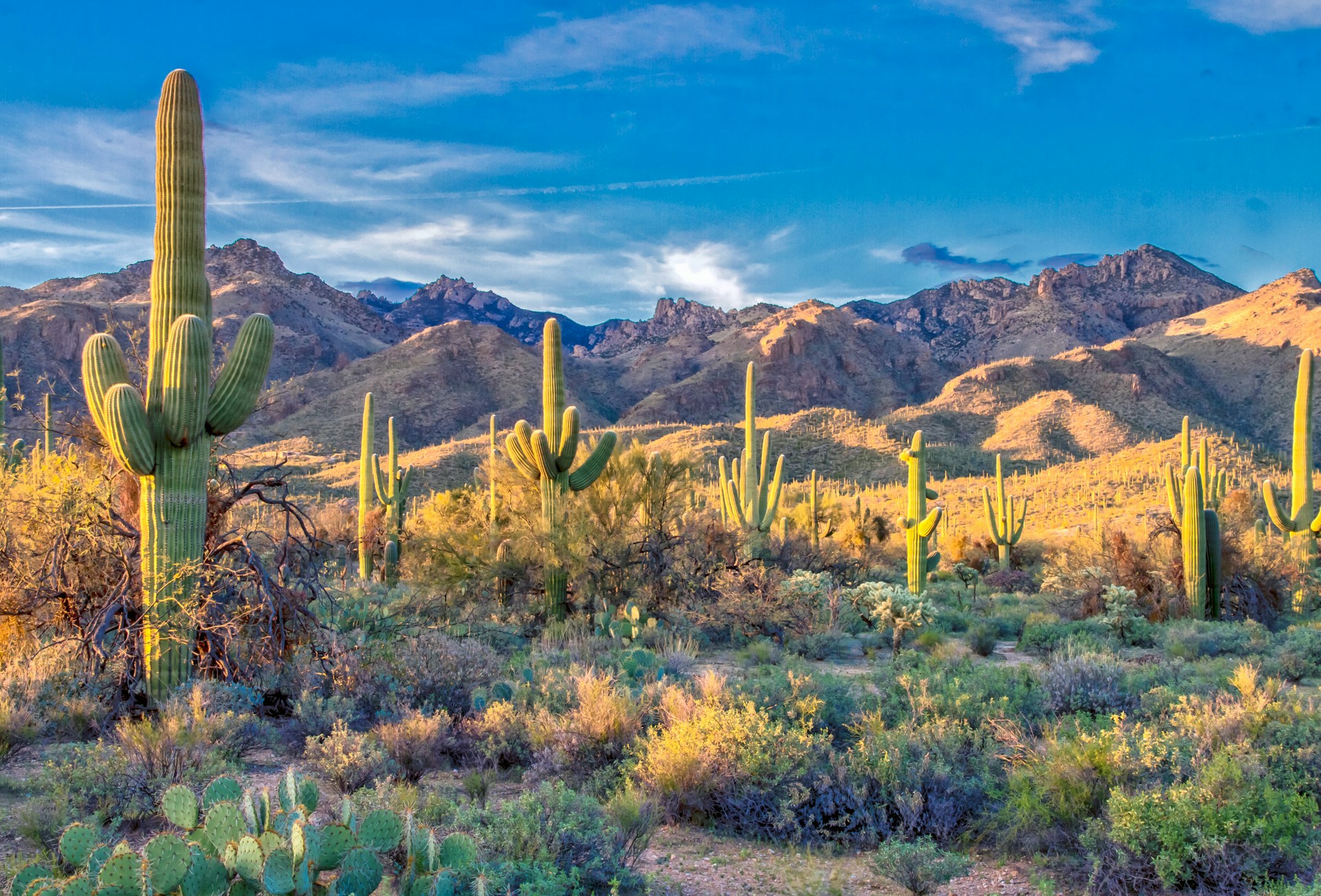 Arizona landscape -weird Arizona laws