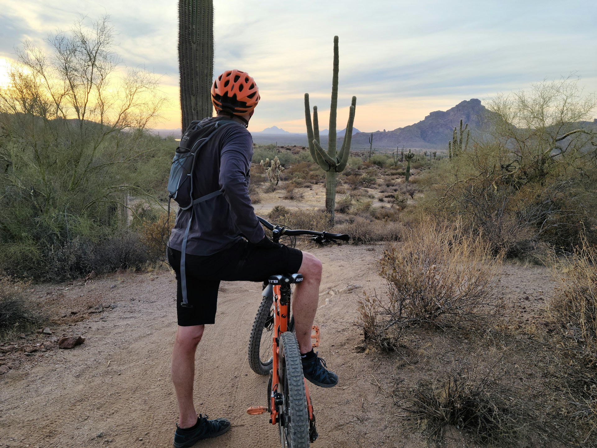 DUI on a bike in Phoenix