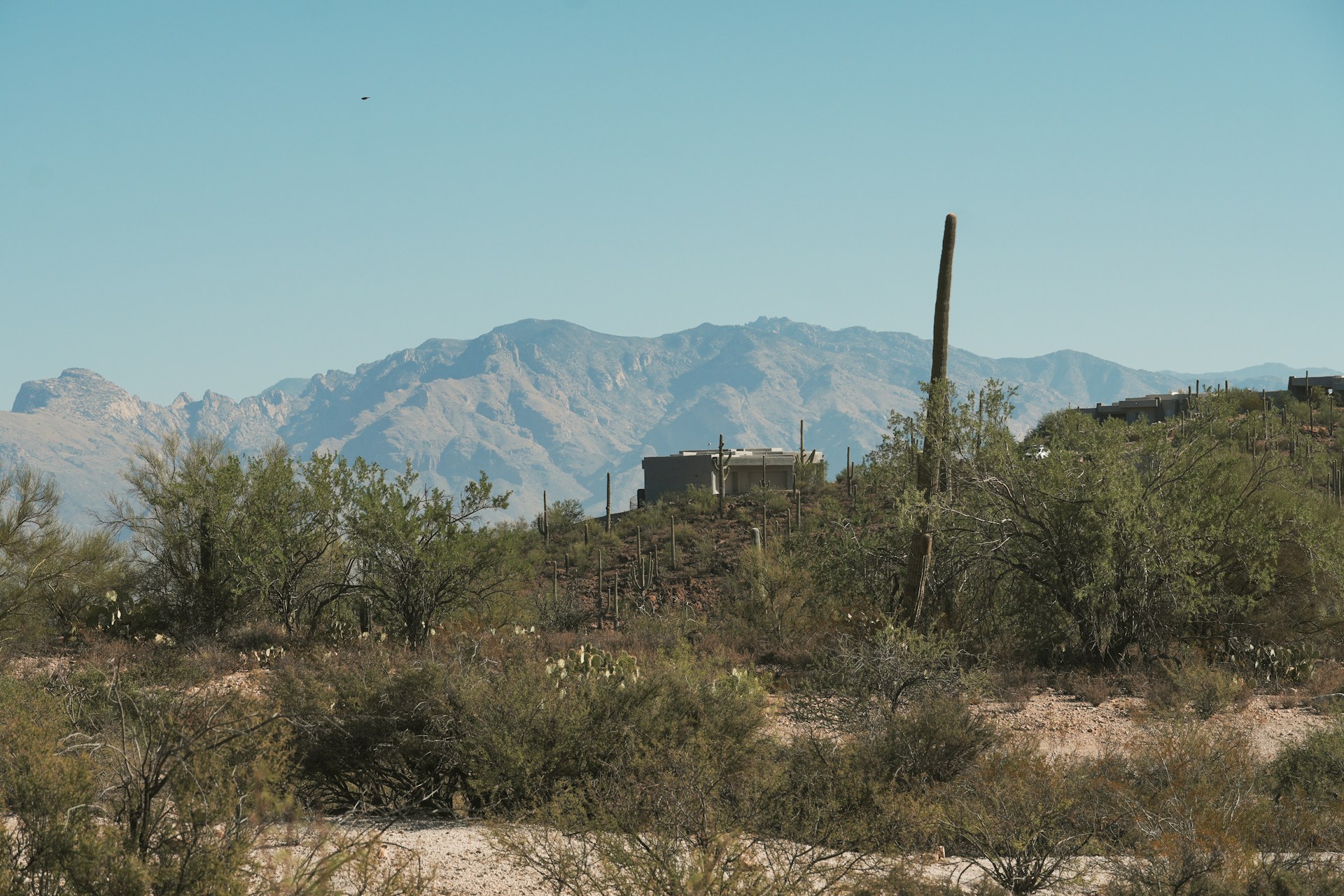 Some circumstances can make the sentences for drug crimes more severe. Here are the three most common reasons for aggravated drug charges in Arizona.